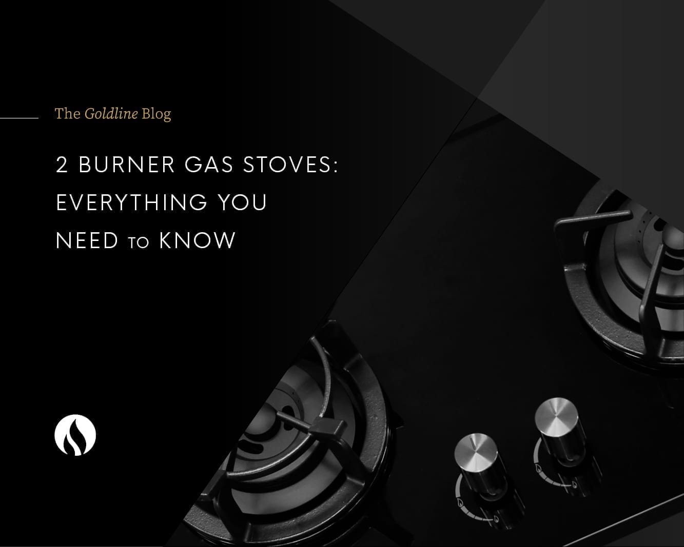 blog-two-burner-gas-stoves-everything-you-need-to-know